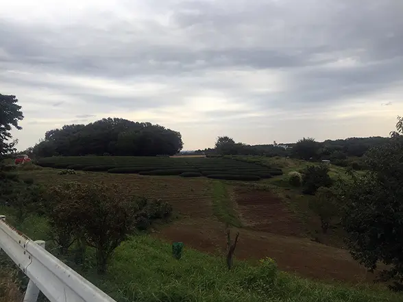 埼玉県